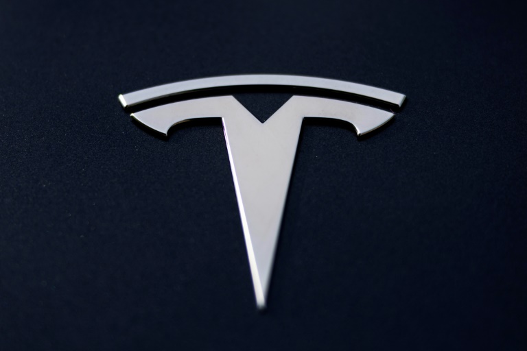 Le logo Tesla sur une voiture Lyon le 2 avril 2025
