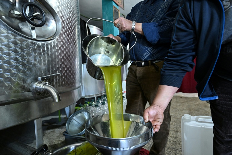 Production d'huile d'olive au moulin de Ben Bazza dans le nord de la Tunisie le 12 novembre 2025. Le prix des huiles végétales baisse de 2,6% en novembre.