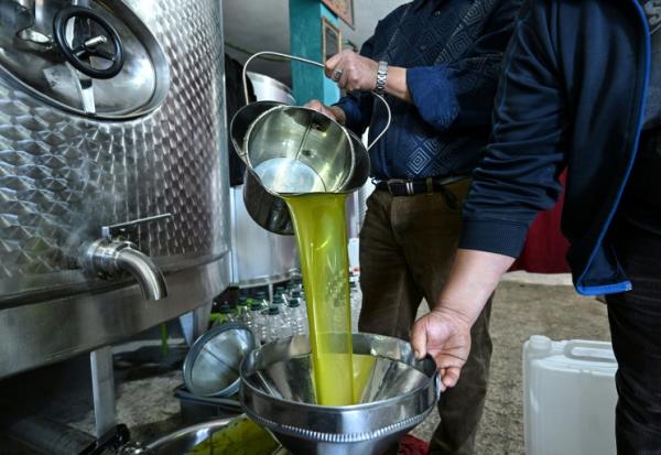 Production d'huile d'olive au moulin de Ben Bazza dans le nord de la Tunisie le 12 novembre 2025. Le prix des huiles végétales baisse de 2,6% en novembre.