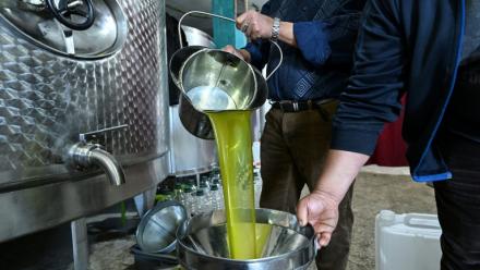 Production d'huile d'olive au moulin de Ben Bazza dans le nord de la Tunisie le 12 novembre 2025. Le prix des huiles végétales baisse de 2,6% en novembre.