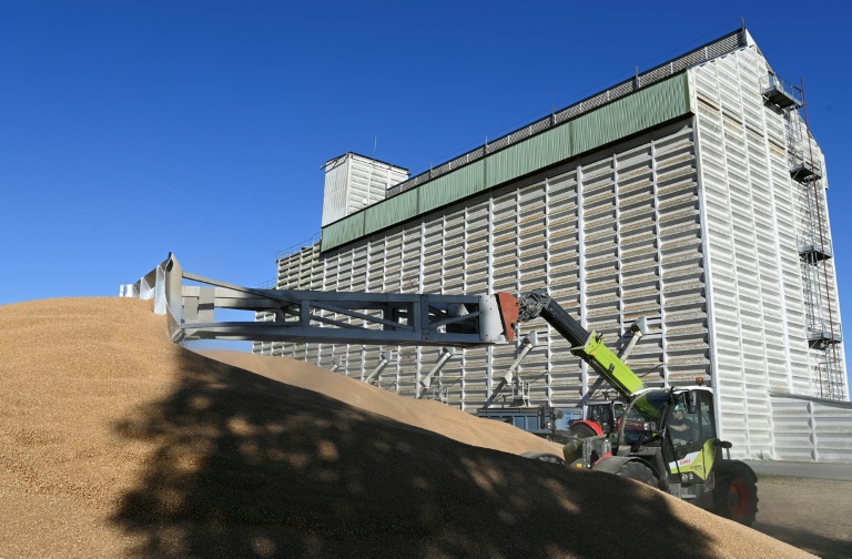 Récolte et stockage du blé à Marbois, en Eure-et-Loire, le 11 juillet 2025, en vue de l'exporter par le port de Rouen.