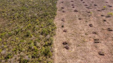 Vue aérienne de la déforestation dans le Cerrado, le 25 septembre 2023 dans l'Etat de Bahia, au Brésil