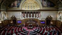 Le Sénat a voté pour insérer dans le projet de loi d'urgence agricole une mesure décriée permettant la réintroduction de pesticides interdits, un irritant majeur pour le gouvernement