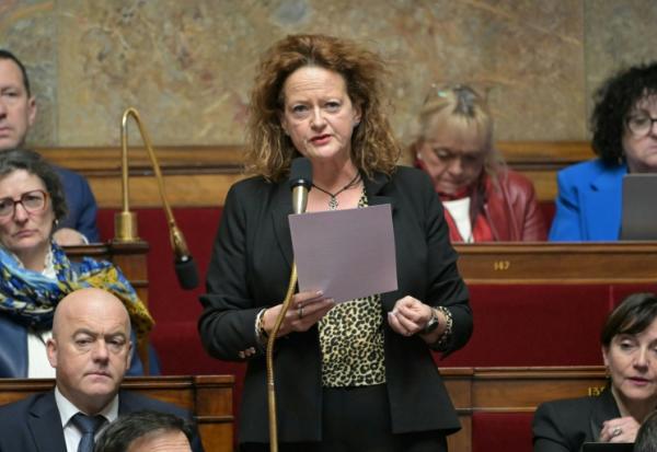 La députée Anne-Cécile Violland à l'Assemblée nationale le 21 janvier 2025
