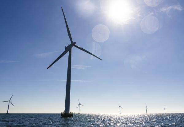 Des éoliennes installées en mer Baltique au Danemark, le 4 septembre 2023