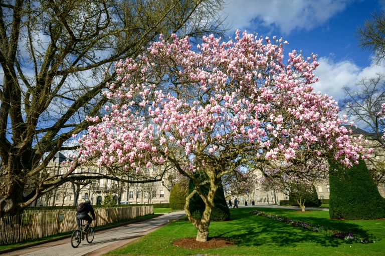 Une politique pro-vélo vertueuse, ou une offensive anti-voiture excessive? Dans plusieurs grandes villes, comme à Strasbourg, la question des mobilités est un sujet clivant dans la campagne pour les municipales