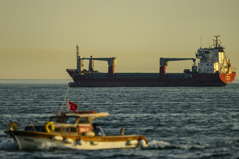 Le cargo Azra C, battant pavillon mongolien, au mouillage dans la mer de Marmara, au large d'Istanbul, le 4 juin 2026 en Turquie