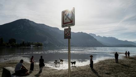 Des promeneurs avec leurs chiens sur les rives du lac d'Annecy, le 24 septembre 2026