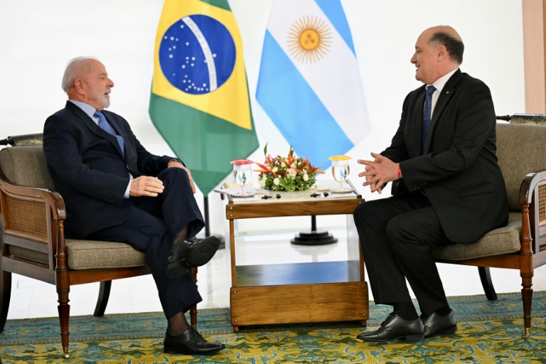 Le président brésilien Luiz Inácio Lula da Silva (g.) s'entretient avec le nouvel ambassadeur argentin au Brésil, Guillermo Daniel Raimondi, lors d'une rencontre au palais du Planalto à Brasilia, le 14 novembre 2024