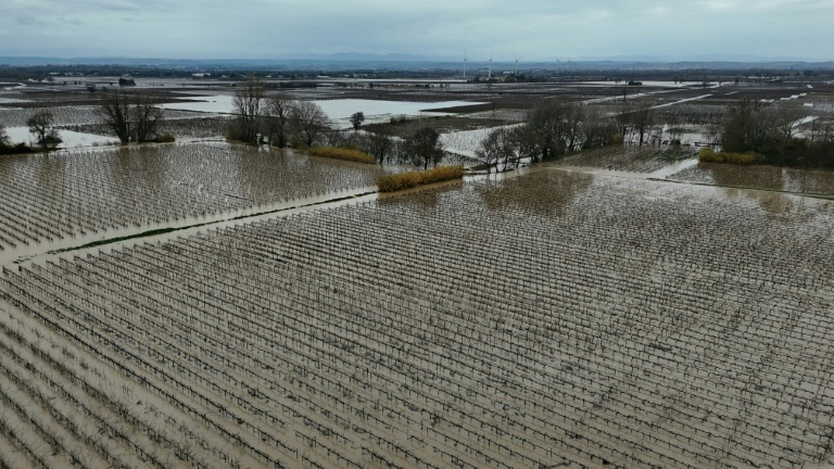 Des champs inondés à Coursan dans l'Aude le 19 janvier 2026