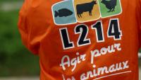 L'association animaliste L214 a annoncé jeudi avoir porté plainte contre un élevage porcin du Morbihan, accusé notamment de "sévices graves" sur des porcelets