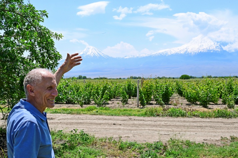 Le producteur d'abricots Aramais Kazaryan, lors d'un entretien avec l'AFP dans son verger du village de Vosketap, dans la vallée de l'Ararat, le 9 juin 2026 en Arménie