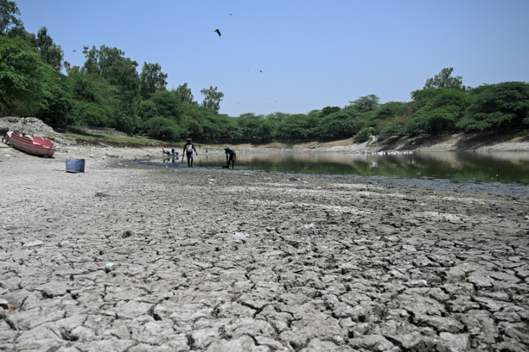 Des personnes ramassent des poissons morts dans un lac partiellement asséché lors d'une vague de chaleur à New Delhi, le 22 mai 2026