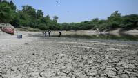Des personnes ramassent des poissons morts dans un lac partiellement asséché lors d'une vague de chaleur à New Delhi, le 22 mai 2026