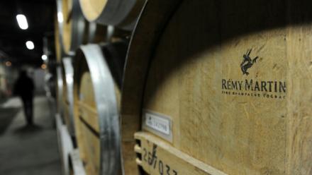 Des fûts de cognac Rémy Martin, marque appartenant à Rémy Cointreau, dans une cave à Cognac, le 10 avril 2014