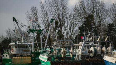 Le président du comité national des pêches appelle à "lever les obstacles" au renouvellement de la flotte de pêche française
