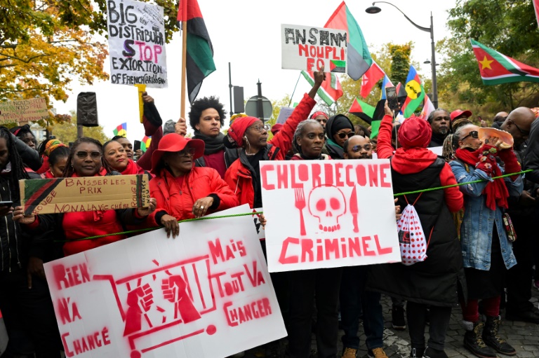Manifestation organisée par la diaspora d'outre-mer, place Denfert-Rochereau à Paris, le 10 novembre 2024