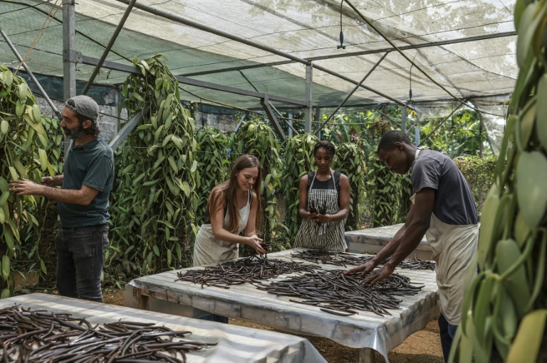 Juliette Dohar (g), cofondatrice de L'atelier Vanilha, travaille avec des employés dans son atelier à São Tomé, capitale de São Tomé-et-Principe, le 7 août 2026