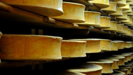 Le gouvernement a autorisé un assouplissement temporaire des règles de production des fromages abondance, beaufort et comté, en raison de la sécheresse