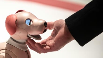 Une personne interagit avec un robot Aibo, à Tokyo le 22 mars 2022