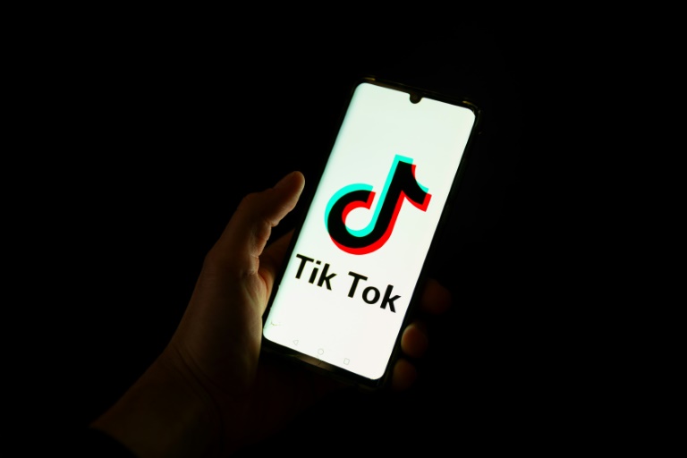 Plusieurs pays de l'Union européenne s'inquiètent des dangers des réseaux sociaux, notamment TikTok, pour les enfants