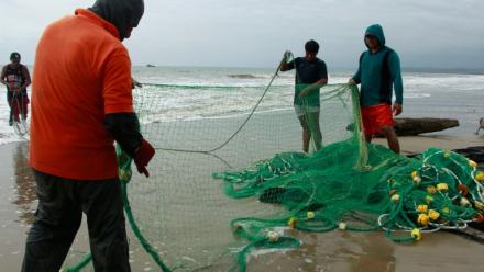 Des pêcheurs à San Pedro, une communauté en Equateur affectée par la hausse des températures du Pacifique, le 18 septembre 2026