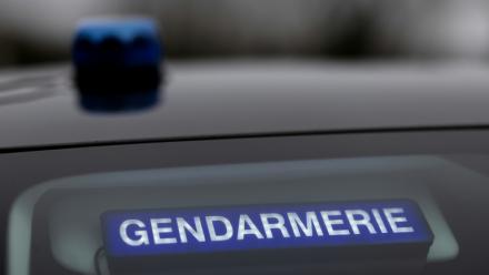 Des dizaines de gendarmes sont mobilisés dimanche en Aveyron à la recherche d'une femme de 40 ans et de son fils adolescent, portés disparus depuis vendredi matin