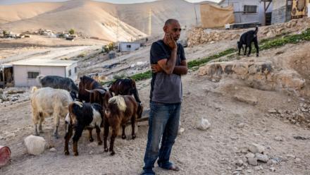 Le Bédouin palestinien Ahmed Kaabneh dans son village de Kaabna, près de Jéricho, en Cisjordanie occupée, le 6 novembre 2025
