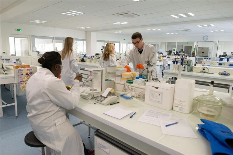 Adocia : lourde perte en 2025