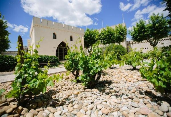 Advini : la marge s'améliore en 2025