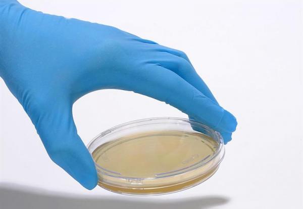 bioMérieux lance une nouvelle solution de diagnostic au sein de sa gamme GENE-UP TYPER