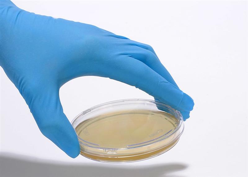 bioMérieux obtient le marquage CE IVDR pour deux tests BIOFIRE SPOTFIRE