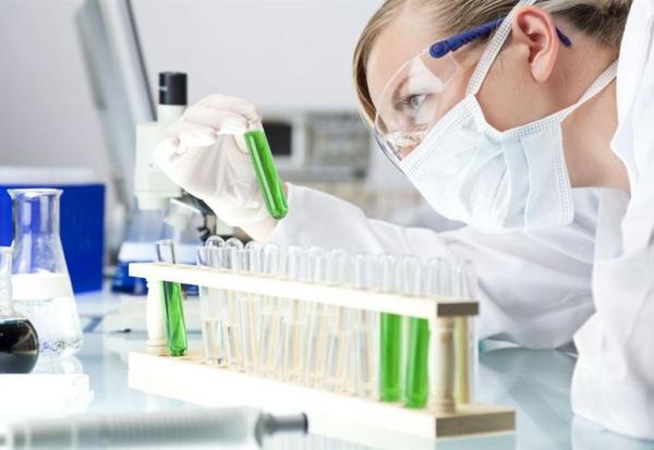 Bureau Veritas : Brokers à l'appui