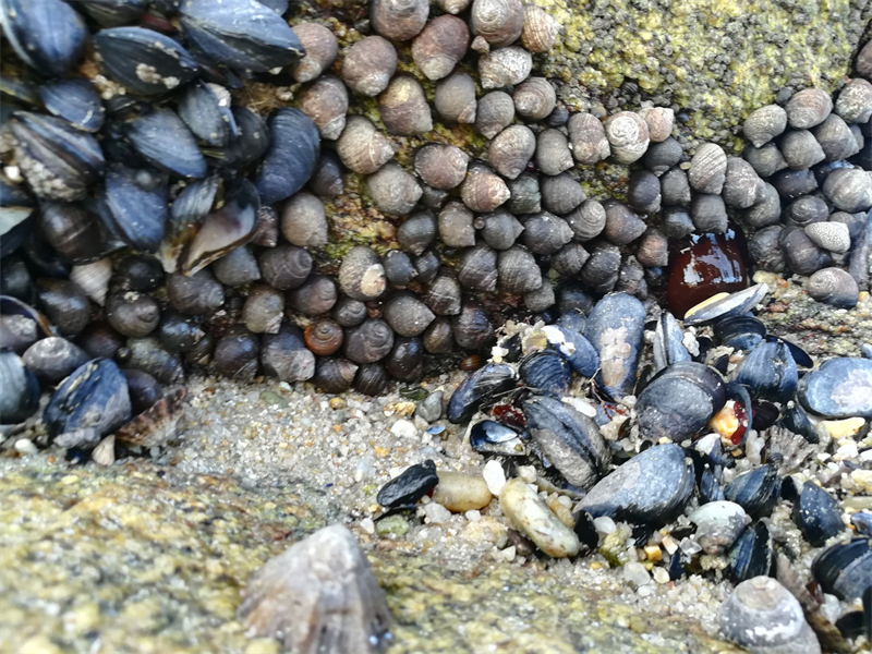 CRCAM du Morbihan : petite hausse du résultat net semestriel