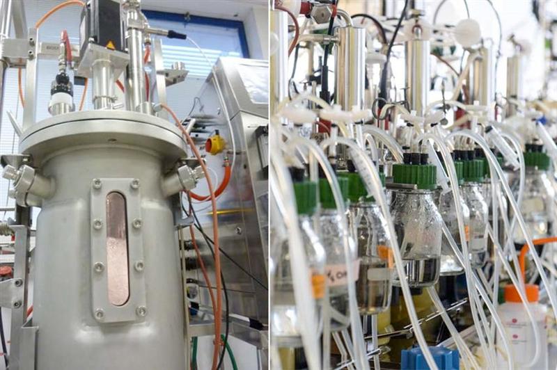Global Bioenergies : ouverture d'une procédure de redressement judiciaire