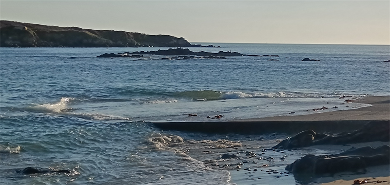 Guillemot : 2025, un contexte difficile