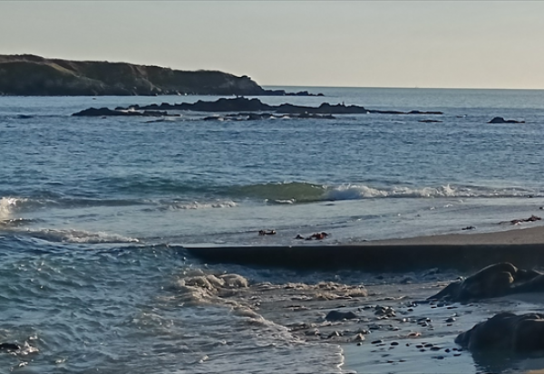 Guillemot : 2025, un contexte difficile