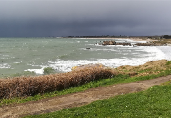 IT Link lance son nouveau plan stratégique