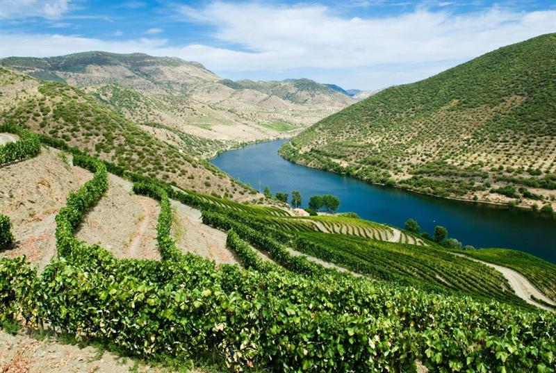Maison Pommery & Associés : projet de rapprochement avec Henkell International