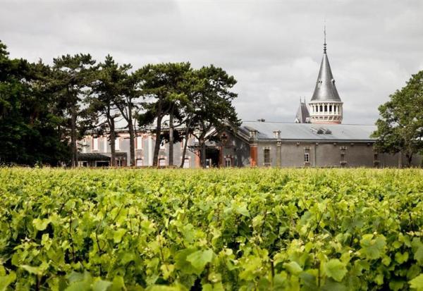 Maison Pommery & Associés retrouve de meilleurs fondamentaux