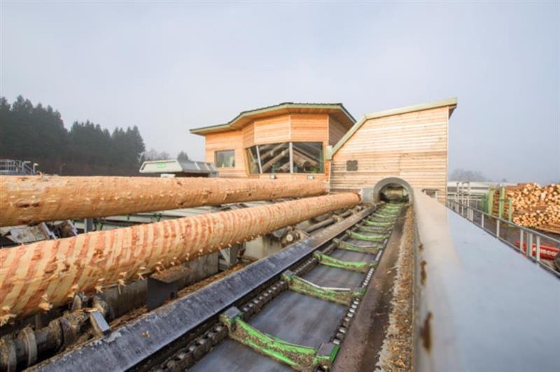 Moulinvest : résultats annuels en nette amélioration