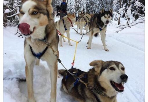 Neoen remporte deux contrats solaires au Canada
