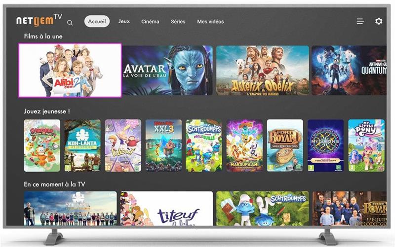 Netgem : petite baisse après les résultats