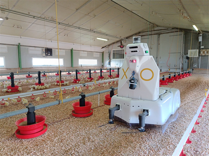 Octopus Biosafety : collaboration avec Excelcar