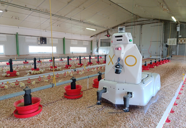 Octopus Biosafety : collaboration avec Excelcar