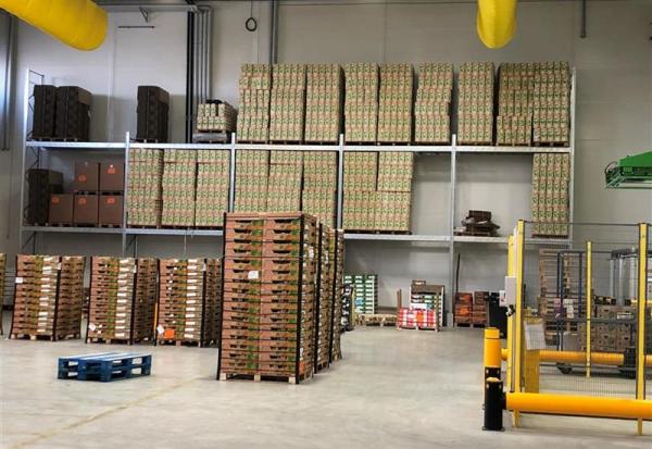 Omer-Decugis & Cie : la marge d'Ebitda est attendue autour de 4,2%