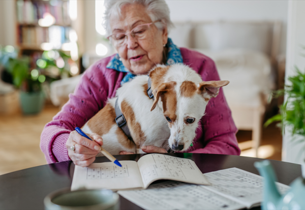 Pet Service Holding : ouvre son premier magasin aux Pays-Bas