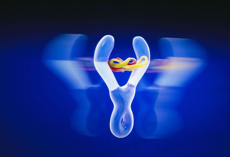 Sanofi : Poursuite d'une croissance rentable attendue en 2026.