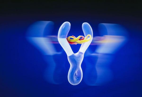 Sanofi : Poursuite d'une croissance rentable attendue en 2026.