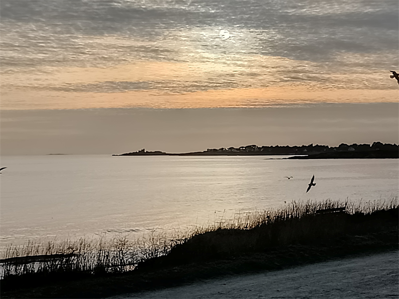 SMAIO renforce son Conseil scientifique nord-américain